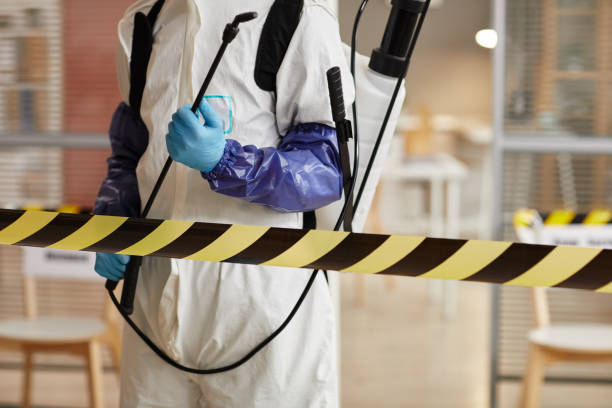 Professional Odor Removal technician working in Worthing, SD